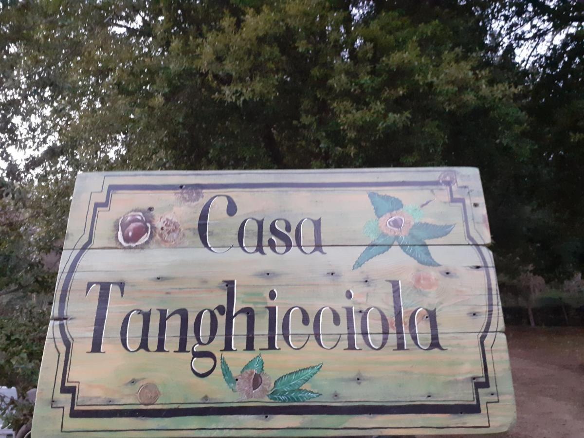 Casa Tanghicciola Appartement Levie
